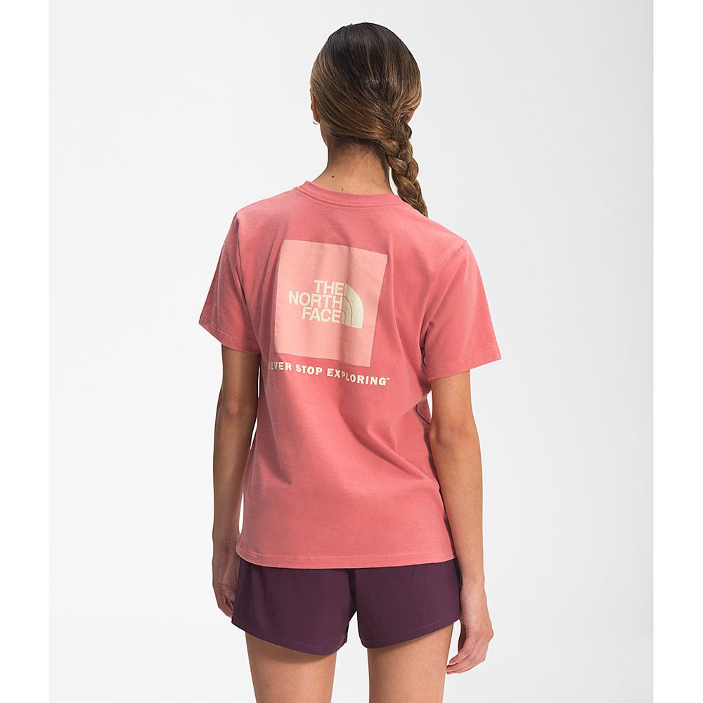 The North Face T-Shirts Womens Australia - The North Face Short Sleeve Box Nse Rose Never Stop Explo